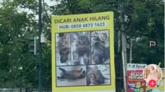 Viral! Baliho Besar Pengumuman Mencari Anak Hilang, Sosok yang Dicari Bikin Kaget