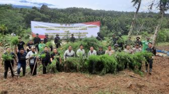 Polisi Temukan Ladang Seluas 6 Hektare Berisi Ribuan Batang Ganja Di Aceh, BB 40 Ton Langsung Dimusnahkan