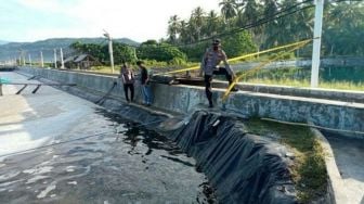 Satpam Ditemukan Tewas Mengapung di Tambak Udang Pesisir Barat