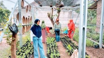 Warga Bandar Lampung Didorong Manfaatkan Lahan Kosong dengan Urban Farming