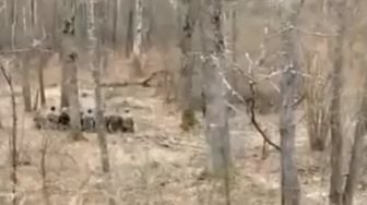 Viral Penampakan Sejumlah Tentara Chechnya Shalat di Hutan Jelang Memasuki Ukraina