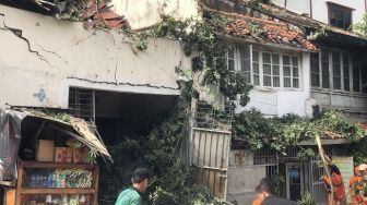 Pohon Tumbang Timpa Rumah di Tambora, Warga: Kirain Gempa Bumi