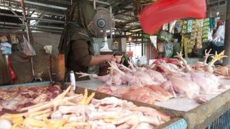 Harga Telur dan Daging Ayam di Ngawi Terus Naik Sejak Lebaran, Pedagang Curiga karena Banyak Hajatan