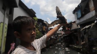 Seorang anak bermain burung di permukiman padat penduduk di kawasan Kebon Melati, Jakarta, Kamis (3/3/2022). [Suara.com/Angga Budhiyanto]