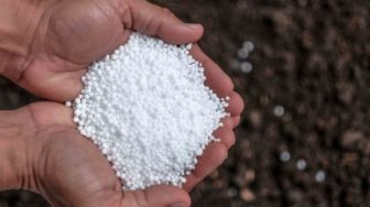 Hati-hati Pupuk Palsu Beredar di Kalangan Petani, Begini Cara Membedakan Dengan Pupuk Asli