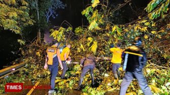 Tanah Longsor Sempat Melumpuhkan Akses Jalan Penghubung Bondowoso-Situbondo