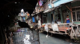 Jadi Target Utama, Tahun Ini Penurunan Kemiskinan Ekstrem Sepanjang Pemerintahan Jokowi Tercapai