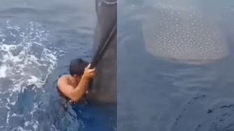 Viral Pria Santai Naik Hiu Tutul di Laut, Aksinya Jadi Sorotan Warganet: Mungkin Udah Bestie