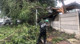 42 Pohon Tumbang di Jakarta pada Sabtu-Minggu, Dua Warga Luka Berat