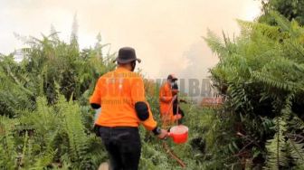 Selama Empat Pekan, 15 Hektar Lahan Terbakar di Kota Pontianak, Kesehatan Masyarakat Dikhawatirkan
