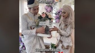 Viral Pengantin Ini Jadikan Kucing untuk Seserahan, Warganet: Mahar Beban, tapi Lucu