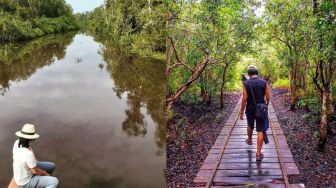 Mengenal Taman Nasional Tanjung Puting, Ibukota Orangutan Dunia