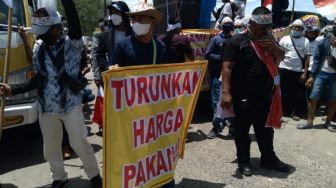 Gelar Demo, Ratusan Peternak Ayam Petelur di Lampung Tuntut Turunkan Harga Pakan