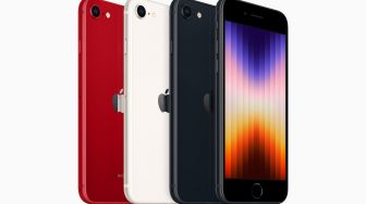 iPhone SE 3 Sudah Bisa Dibeli di Indonesia, Harga Mulai Rp 8 Juta