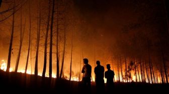 Cuaca Panas Tanpa Hujan, 5 Hektare Lahan di Selakau Timur Sambas Hangus Dilahap Api