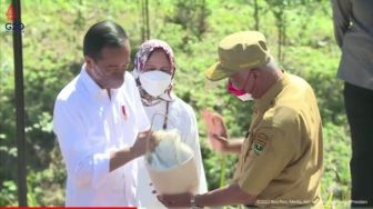 Ikut Ritual Kendi Nusantara di IKN, Gubernur Sumbar Bawa Air Kaki Gunung Talang dan Tanah Pasaman Barat