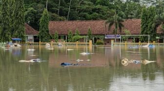 Astaga! 15 Ton Gabah Petani di Banyumas Hanyut Terbawa Banjir, Kerugian Ditaksir Puluhan Juta Rupiah