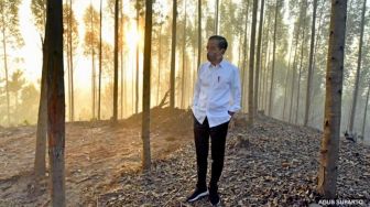 Jokowi Pose Bak Anak Senja Saat Sunrise di Titik Nol IKN, Publik: Gak Sayang Hutan Ditebang?