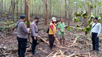 Kakek di Gunungkidul Dipenjara Usai Kepergok Curi Kayu Jati Perhutani yang Tumbang Akibat Puting Beliung