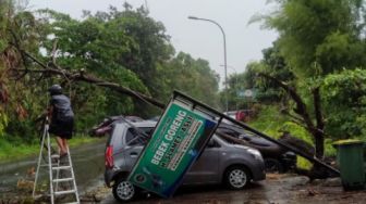 Hujan Deras dan Angin Kencang di Batam, Pohon Tumbang Timpa Mobil, Plang Bebek Slamet Ikut Roboh