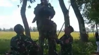 Parasut Anggota TNI Ini Tak Mengembang Sempurna, Terjun Payung Mendarat Tersangkut Pohon