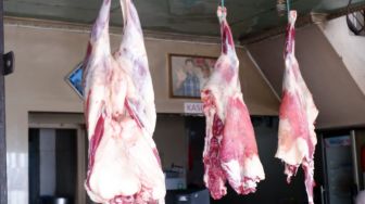 Jangan Khawatir! Stok Daging Sapi di Pasar Ratu Melati Ketapang Aman Saat Ramadhan