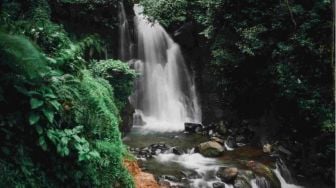 Pesona Curug Cipamingkis, dari Hutan Pinus Jadi Air Terjun Eksotis