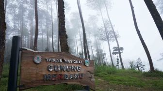 Rekomendasi 5 Wisata Alam di Kaki Gunung Merbabu