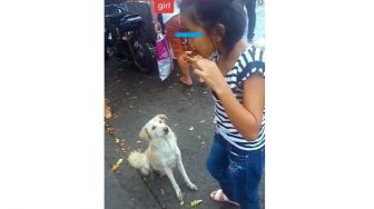 Gemas! Anak Perempuan Ini Berbagi Makanan dengan Anjing yang Mendekatinya