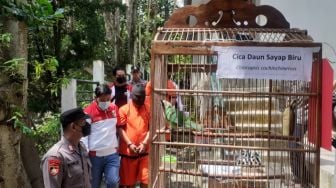 Pelihara dan Peragakan Satwa Dilindungi, Polda DIY Amankan 2 Pengelola Mini Zoo di Sleman