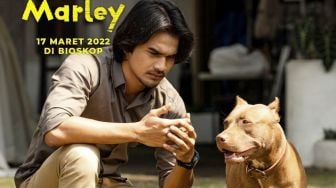 Ulasan Film Marley, Film yang Mengangkat Kisah Persahabatan Manusia dan Anjing