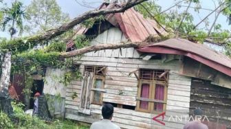 Alamak! Rumah Janda di Simeulue Aceh Rusak Tertimpa Pohon