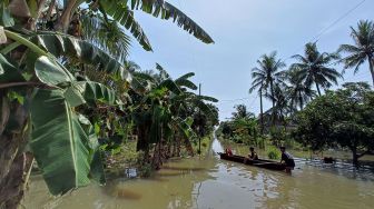 Banjir di Cilacap Meluas, 1.400 Rumah Terendam Banjir, Kerugian Petani Hampir Rp 1 Miliar