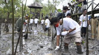 Milenial di Kaltim Deklarasi Sambil Tanam Ratusan Bibit Mangrove