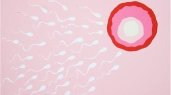 Jangan Salah Kaprah, Sel Telur Ternyata Menyeleksi Sperma yang Boleh Membuahinya