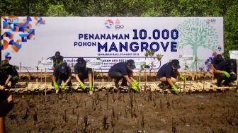 BRI Tanam 10.000 Mangrove di Bali untuk Peringati 2 Dekade Gerakan APU PPT Indonesia