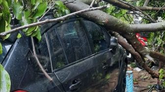 Sebuah Mobil Tertimpa Pohon Tumbang di Daerah Sadangserang Bandung, Begini Kondisinya