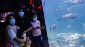 Pengunjung melihat koleksi ikan yang ada di Sea World, Ancol, Jakarta, Minggu (20/3/2022).[Suara.com/Septian]