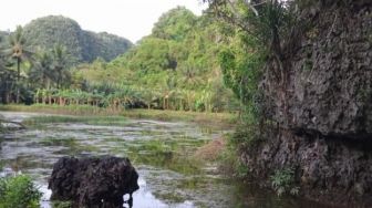 Kampung Massaloeng Akan Perkaya Potensi Wisata Karst Rammang-Rammang Kabupaten Maros