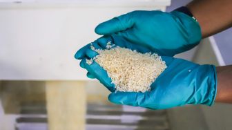 Pekerja mengoperasikan mesin Rice To Rice (RTR) untuk mengisi karung beras medium di Gudang RTT Bulog, Kelapa Gading, Jakarta Utara, Rabu (23/3/2022). [Suara.com/Alfian Winanto]