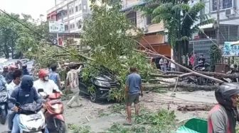 Pohon Besar Timpa Mobil yang Melintas di Jalanan Medan