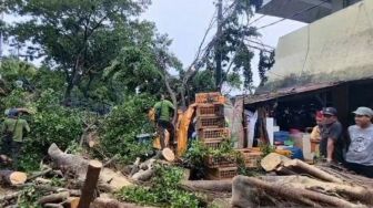 Pohon Beringin Tumbang Timpa Belasan Motor dan 3 Warung di Cempaka Putih