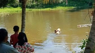 Bocah Asal Pesisir Selatan Hanyut Saat Memancing di Sungai