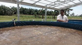PPU Kembangkan Budi Daya Ikan Air Tawar, Sambut IKN Nusantara?