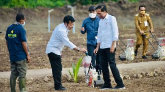 Kawasan Food Estate Belu NTT Ditanami Jagung, Presiden Jokowi: Ini Terbosan untuk Memajukan Pertanian