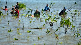 Sejumlah siswa menanam bibit bakau di kawasan pantai Untia, Kecamatan Biringkanaya, Makassar, Sulawesi Selatan, Sabtu (26/3/2022). [ANTARA FOTO/Abriawan Abhe/nym]