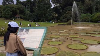 Habiskan Piknik Akhir Pekan di Kebun Raya Bogor