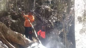 Tim Gabungan Padamkan Api yang Bakar Hutan Lindung