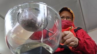 Kader Partai Demokrasi Indonesia Perjuangan (PDIP) melakukan demo masak tanpa minyak goreng di Sekolah Partai PDIP, Lenteng Agung, Jakarta, Senin (28/3/2022). .ANTARA FOTO/Aditya Pradana Putra