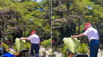 Bikin Kesengsem, Suami Payungi Istri Pakai Daun Talas saat Nyekar di Makam, Warganet: Pasangan Sejati